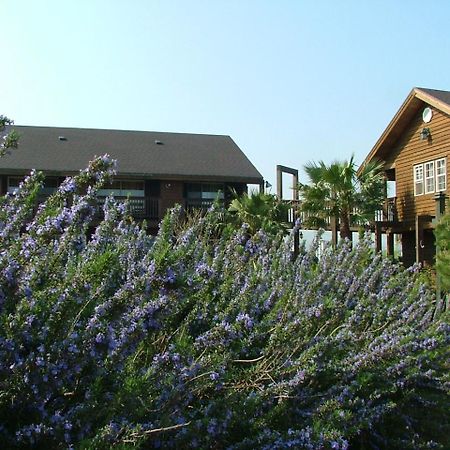 Namu Hyanggi Pension Jeju Ngoại thất bức ảnh